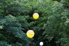 Ringsted-Boernefestival-juni-24-abw-22-scaled