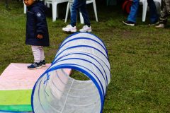 Ringsted-Boernefestival-juni-24-abw-48-scaled