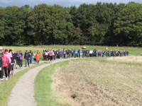 Støt brysterne løbet Ringsted