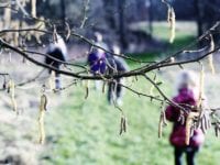 Søg om støtte fra lokalforeningspuljen til det lokale friluftsliv