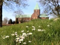 Klosterlunden badet i solskin og hygge