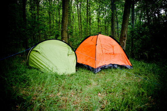Flere skove med fri teltning