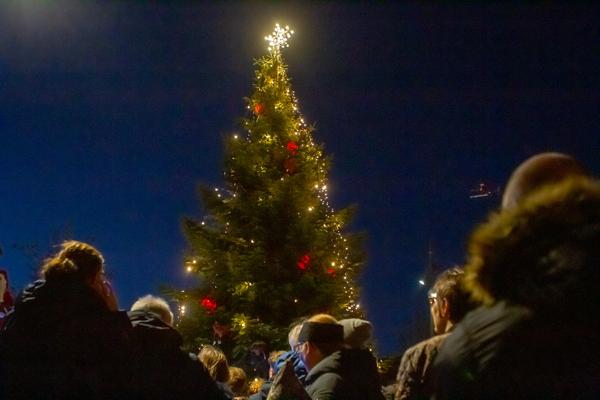 Den 17. november tændes det store smukke juletræ på Torvet