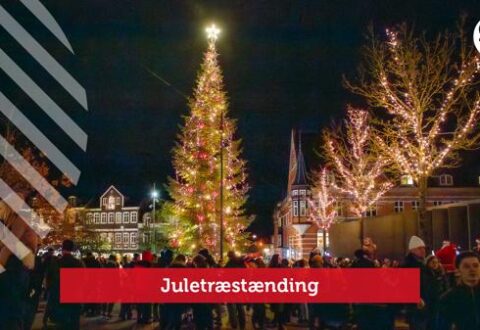 Juletræstænding med Julemanden og Line Solsikke