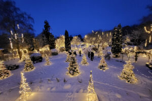 Strålende jul i Birkegårdens Haver