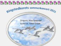 Sommerkoncert