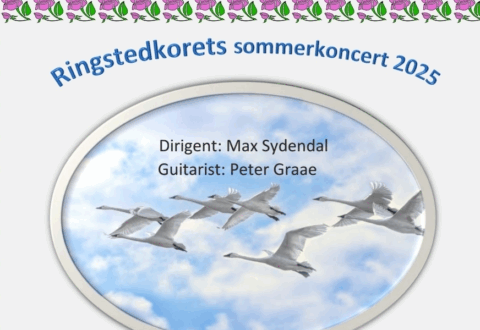 Sommerkoncert