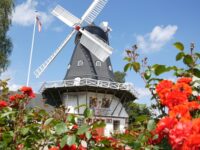 Ringsted Vindmølle, foto: Museum Vestsjælland
