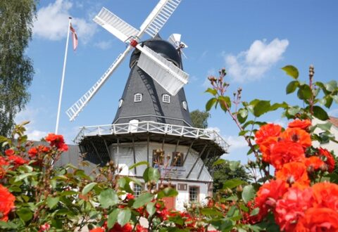 Ringsted Vindmølle, foto: Museum Vestsjælland